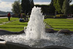 2009-09-05_16-20-48_DSC_7429.jpg