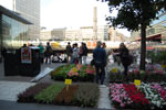 2009-09-05_17-22-10_DSC_7451.jpg