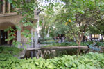 2009-09-05_17-38-30_DSC_7460.jpg