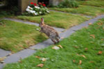 2009-09-05_17-56-55_DSC_7471.jpg