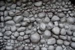 2009-09-05_18-07-10_DSC_7478.jpg