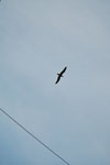 2009-09-05_18-45-50_DSC_7489.jpg