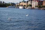 2009-09-06_16-26-43_DSC_7565.jpg