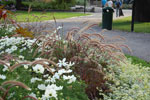 2009-09-06_17-22-05_DSC_7617.jpg