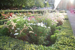 2009-09-06_17-30-48_DSC_7628.jpg