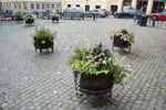 2009-09-06_18-01-26_DSC_7656.jpg