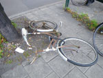 2009-09-07_13-23-56_IMGP9647.jpg