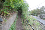2009-09-08_12-43-27_DSC_7810.jpg