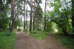 2009-09-08_13-01-13_DSC_7824.jpg