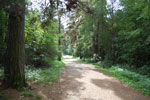 2009-09-08_13-05-41_DSC_7827.jpg