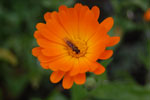 2009-09-08_15-00-30_DSC_7876.jpg