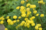 2009-09-08_15-01-56_DSC_7881.jpg
