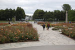 2009-09-08_17-04-19_DSC_7935.jpg