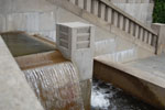 2009-09-08_17-29-27_DSC_7992.jpg