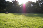 2009-09-11_17-15-17_DSC_8357.jpg