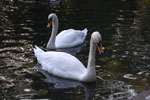 2009-09-11_18-14-27_DSC_8370.jpg