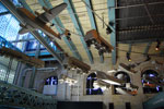2009-09-12_16-57-57_DSC_8554.jpg