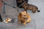 2009-09-14_13-19-15_DSC_8722.jpg
