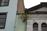 2009-09-14_13-19-40_DSC_8723.jpg