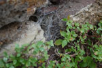 2009-09-14_13-41-50_DSC_8742.jpg