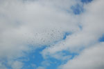 2009-09-15_14-19-57_DSC_8845.jpg
