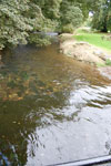 2009-09-15_14-22-44_DSC_8849.jpg