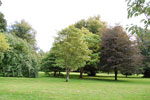 2009-09-15_14-23-18_DSC_8850.jpg