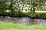 2009-09-15_14-27-43_DSC_8856.jpg