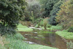 2009-09-15_14-30-26_DSC_8868.jpg