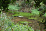 2009-09-15_14-31-41_DSC_8875.jpg