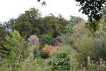 2009-09-15_14-32-03_DSC_8878.jpg