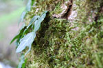 2009-09-15_14-34-55_DSC_8885.jpg