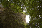 2009-09-15_14-37-40_DSC_8897.jpg
