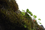 2009-09-15_14-38-00_DSC_8898.jpg