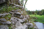 2009-09-15_14-42-21_DSC_8912.jpg