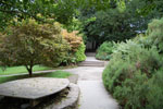 2009-09-15_14-43-11_DSC_8914.jpg