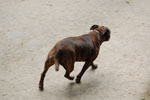 2009-09-15_15-11-00_DSC_8951.jpg