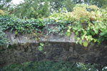2009-09-15_15-12-49_DSC_8956.jpg