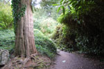 2009-09-15_15-13-40_DSC_8960.jpg