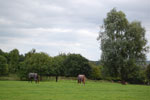2009-09-15_15-18-39_DSC_8965.jpg