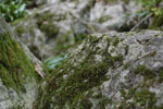 2009-09-15_15-22-46_DSC_8968.jpg