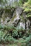 2009-09-15_15-23-34_DSC_8970.jpg