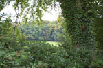 2009-09-15_15-29-17_DSC_8983.jpg