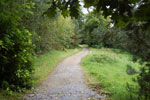 2009-09-15_15-30-27_DSC_8984.jpg