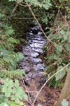 2009-09-15_15-34-36_DSC_8989.jpg
