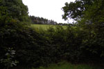 2009-09-15_15-36-06_DSC_8991.jpg
