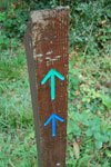 2009-09-15_15-46-33_DSC_9002.jpg