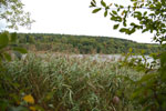 2009-09-15_15-51-38_DSC_9006.jpg