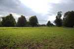 2009-09-15_16-02-55_DSC_9020.jpg