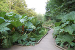 2009-09-15_16-09-23_DSC_9027.jpg